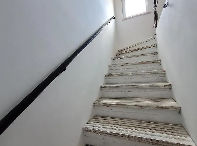 فيلة San Na Vodi *